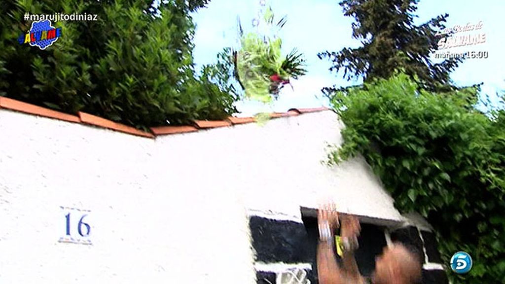 Asegura que se ha vuelto a enamorar tras ver el polígrafo de Marujita