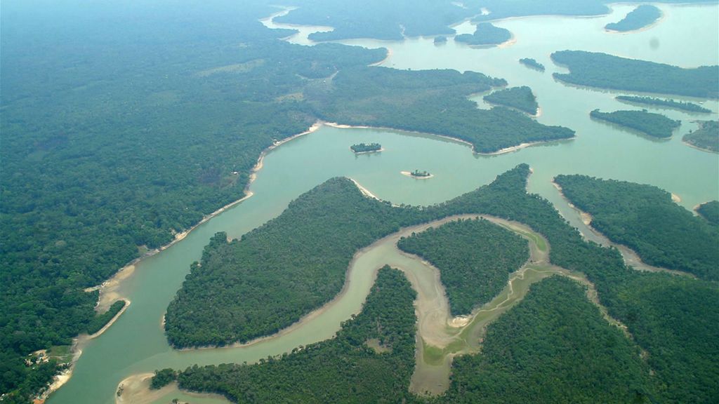 La selva del Amazonas