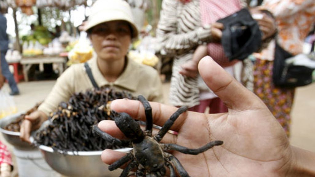 Arañas de Camboya