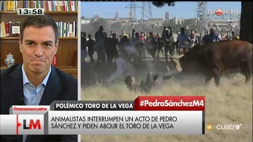 Pedro Sánchez, sobre el toro de la Vega: "El alcalde representa a los ciudadanos de Tordesillas, no al PSOE"