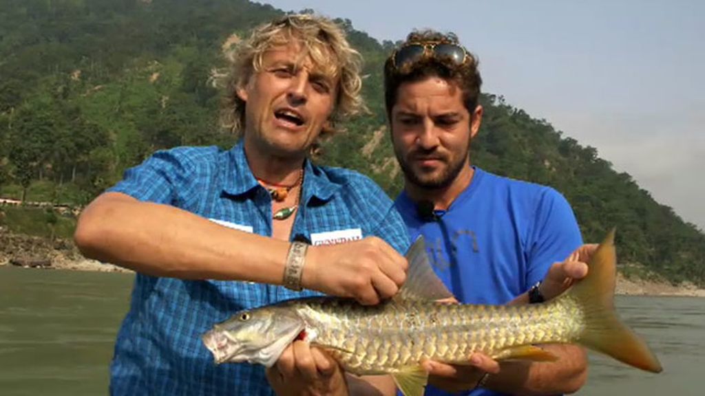 David Bisbal supera el reto y consigue pescar el Golden masher