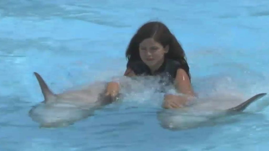 Niños enfermos de cáncer cumplen su sueño de nadar con delfines