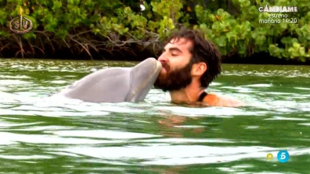 Los supervivientes nadan con los delfines en la paradisíaca isla de Roatán