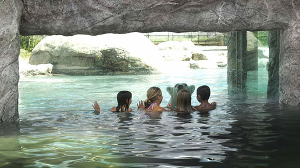 Un baño con... osos polares