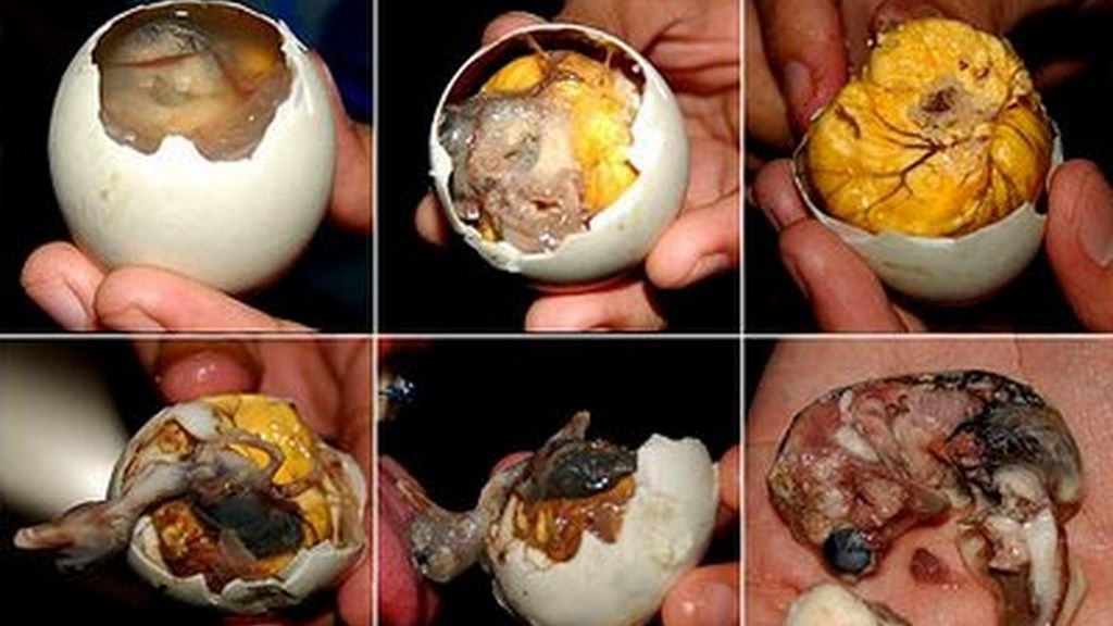Balut