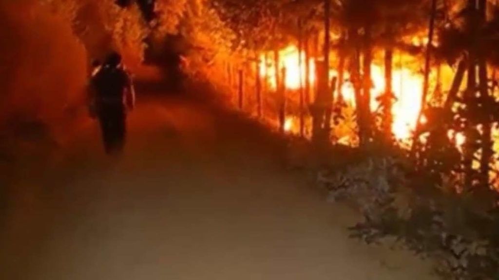 El fuego arrasa el sur de Chile