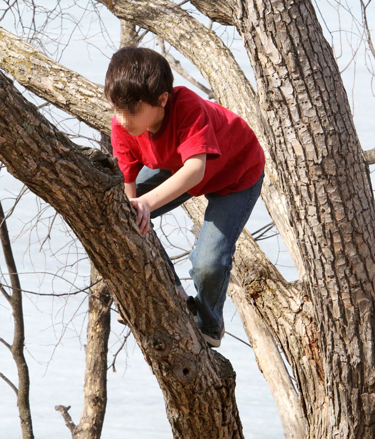 Dos niños juegan trepando por las ramas de un árbol