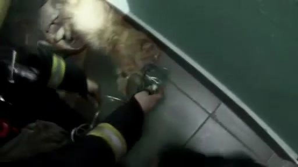 Reaniman a un gato que quedó inconsciente víctima de un incendio