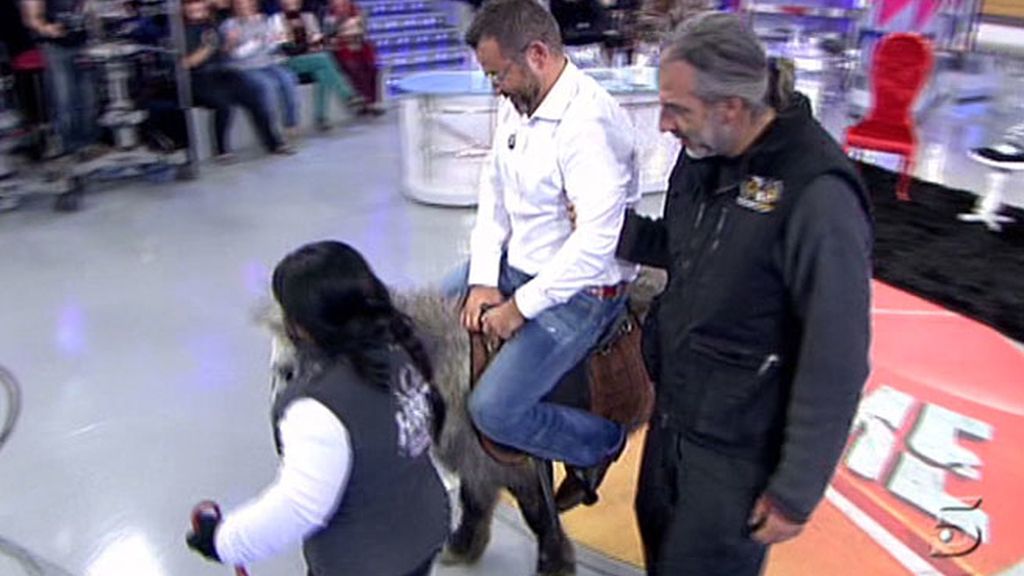 Chiqui entra en plató a lomos de un poni y Jorge Javier le imita