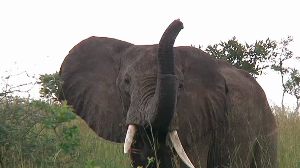 Un paseo por la Sabana
