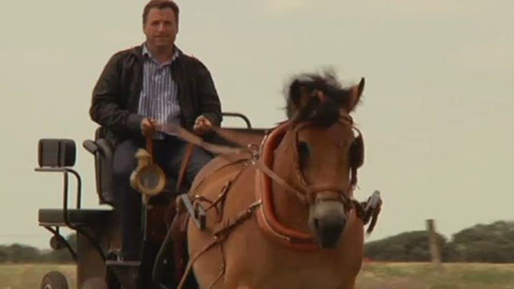 César es un romántico y le encanta pasear en calesa