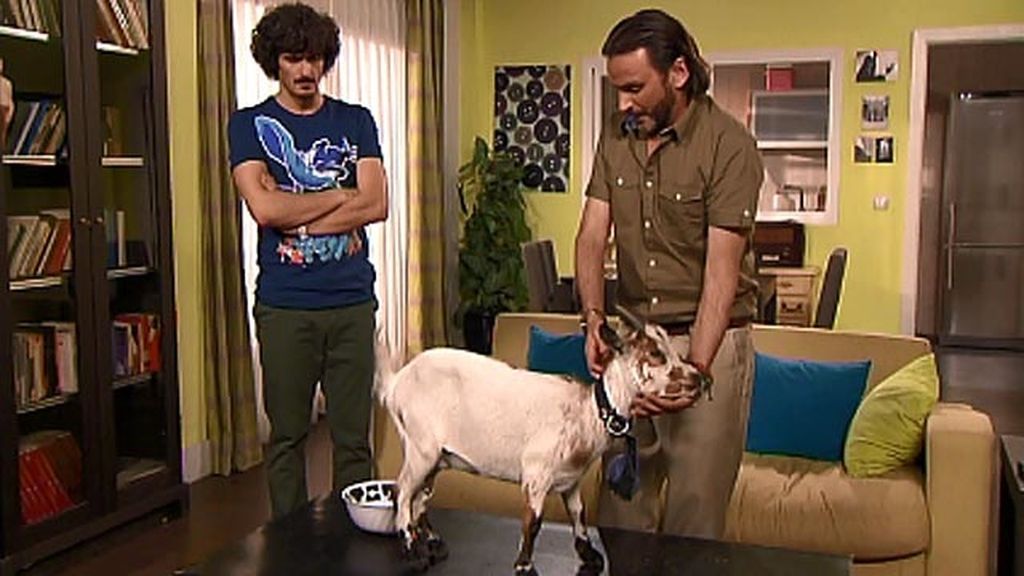 Araceli vuelve después de su aventura con el brasileño