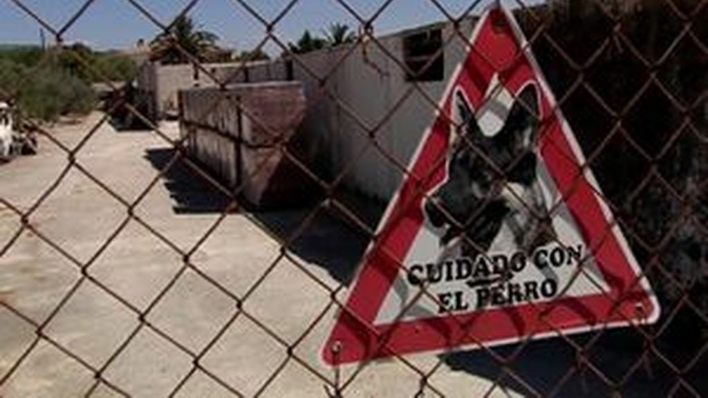 Fallece un niño de cuatro años en Jaén atacado por un perro en la finca de su abuelo