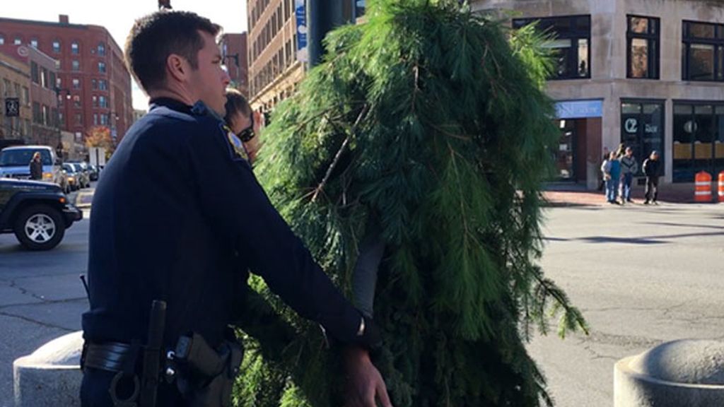 Arrestan a un hombre árbol por obstruir el tráfico en Portland