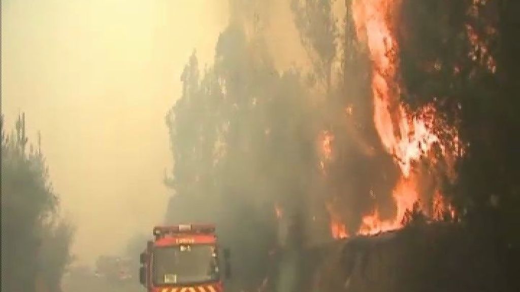 Varios incendios forestales mantienen en jaque a los chilenos