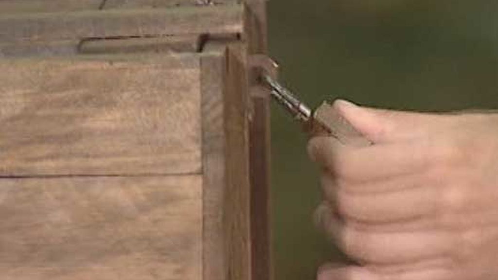 Sonia Monroy, líder semanal