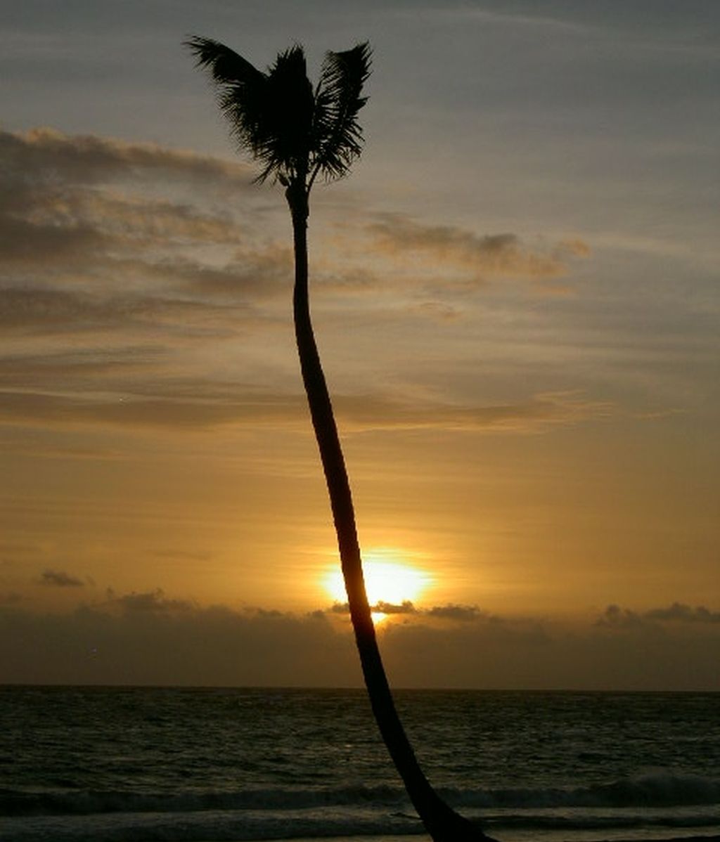 Fotos concurso 'Una imagen, una palabra'