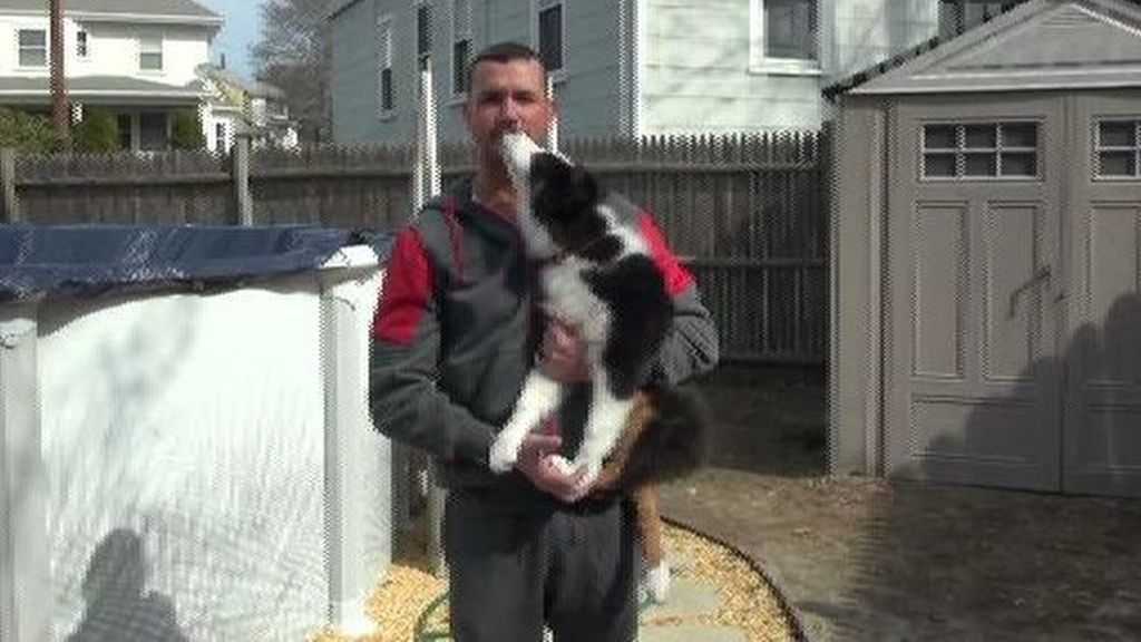 Un 'cachorro' surca los cielos atado a globos de helio