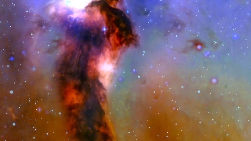 El cerebro en el Universo