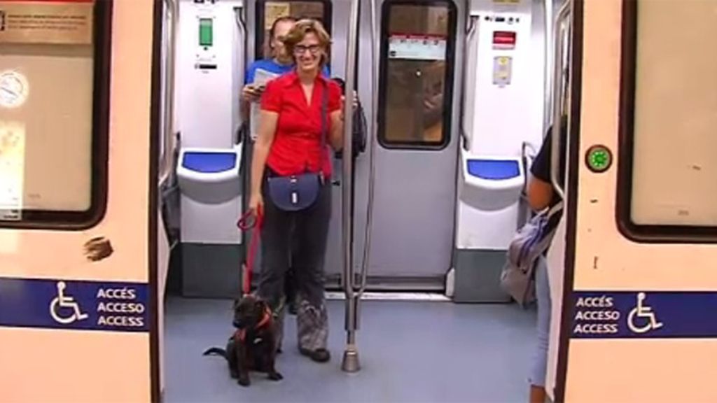 Los perros ya pueden viajar en el metro de Barcelona