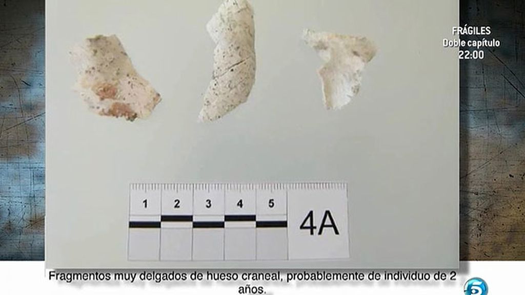 Imágenes de los huesos óseos encontrados en la finca de José Bretón