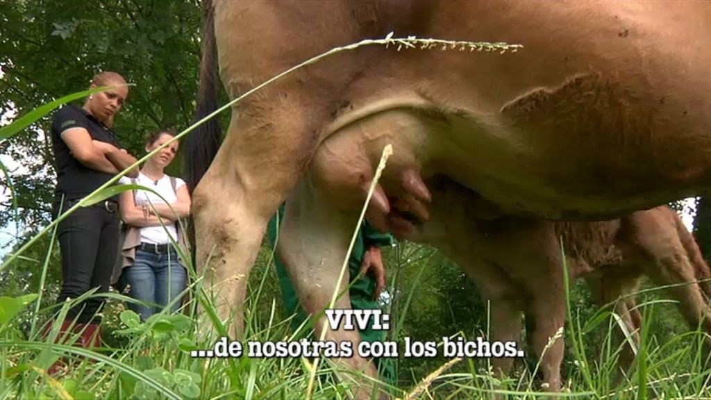 Es una lata el trabajar