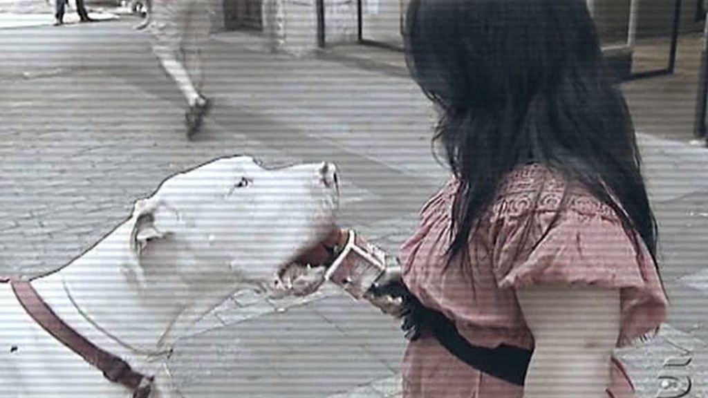 Chiqui encantadora de serpientes y osos marinos