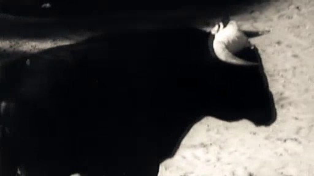 El experimento del Dr.Delgado