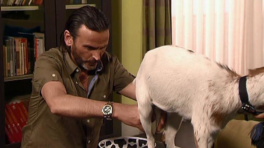 Araceli vuelve después de su aventura con el brasileño