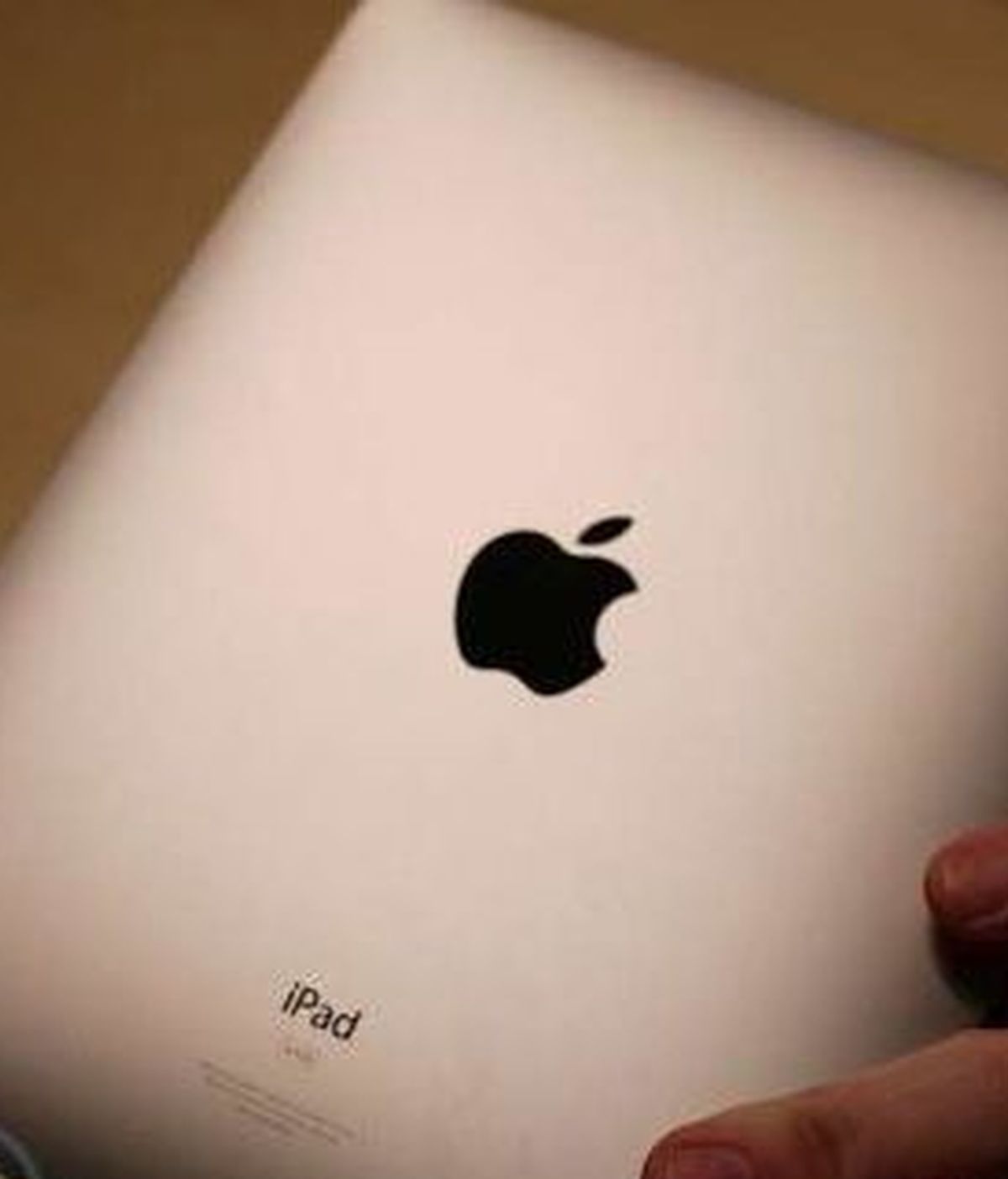 Ashley McDowell compró un iPad a dos hombres por un precio muy inferior que en las tiendas cuando llegó a casa descubrió que el tablet era de madera.