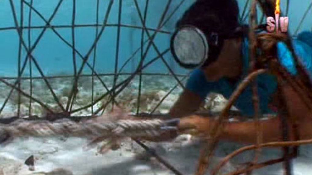 Buscando el fuego... debajo del agua