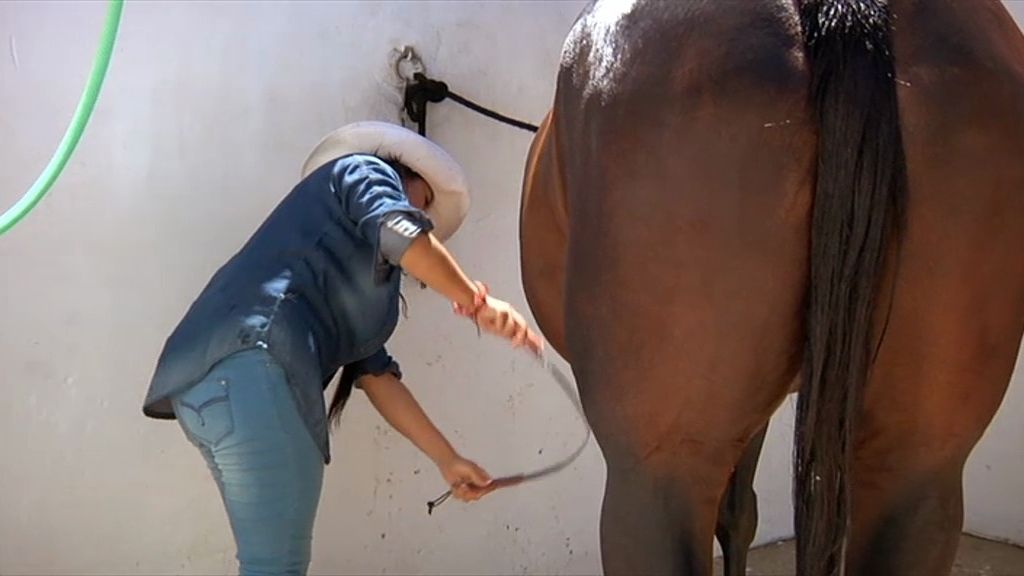 Es una lata el trabajar