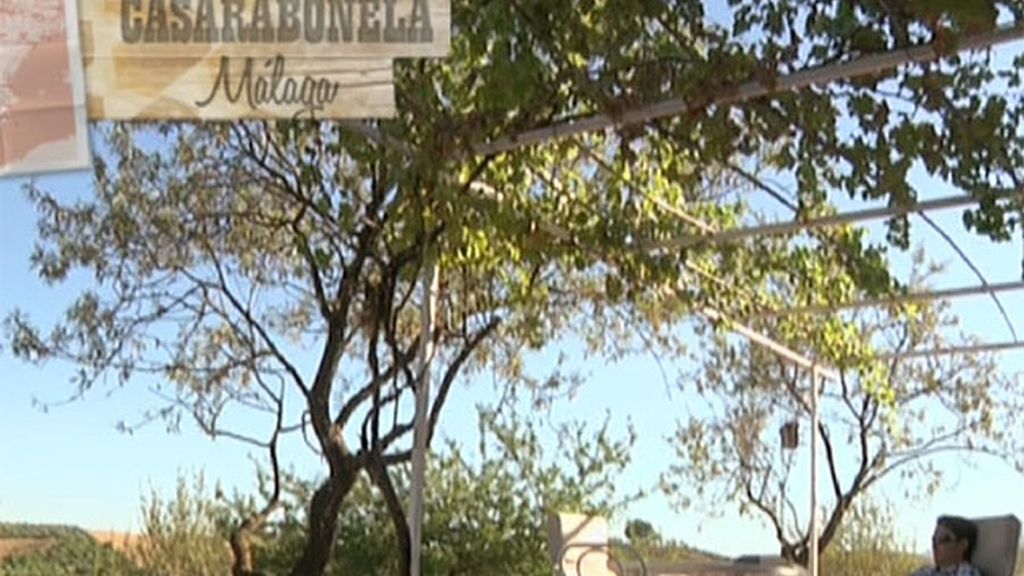 Luis presenta a sus pretendientas a 'su otra familia'