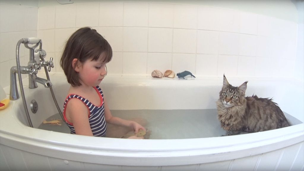 La emotiva amistad entre una niña autista y su gato
