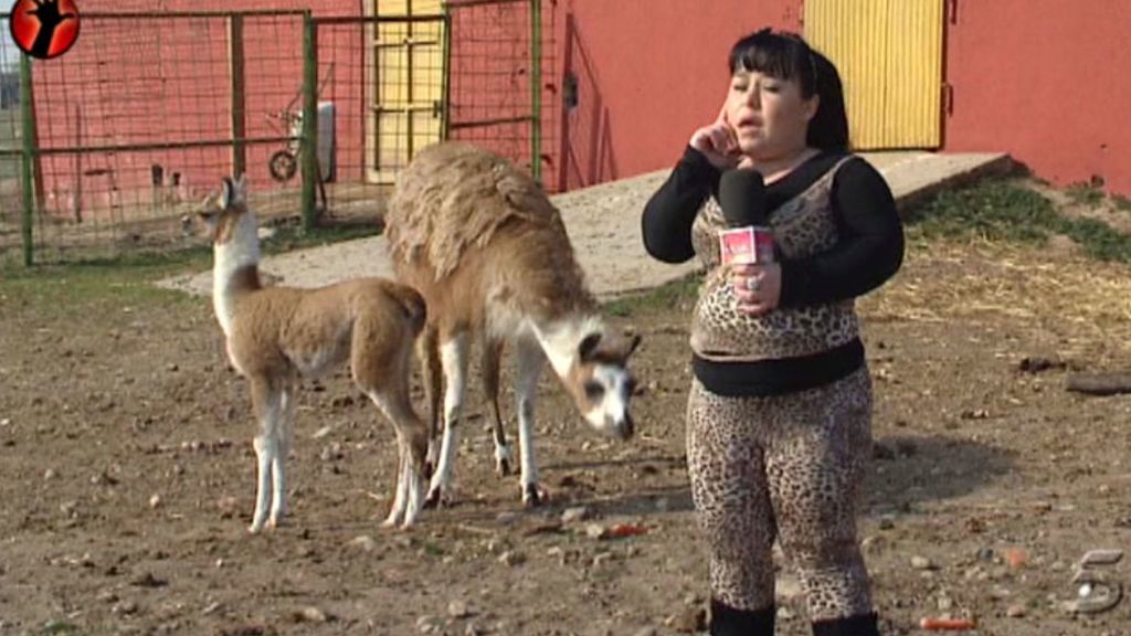 La reportera bautiza como 'Sálvame' y 'Deluxe' a dos llamas
