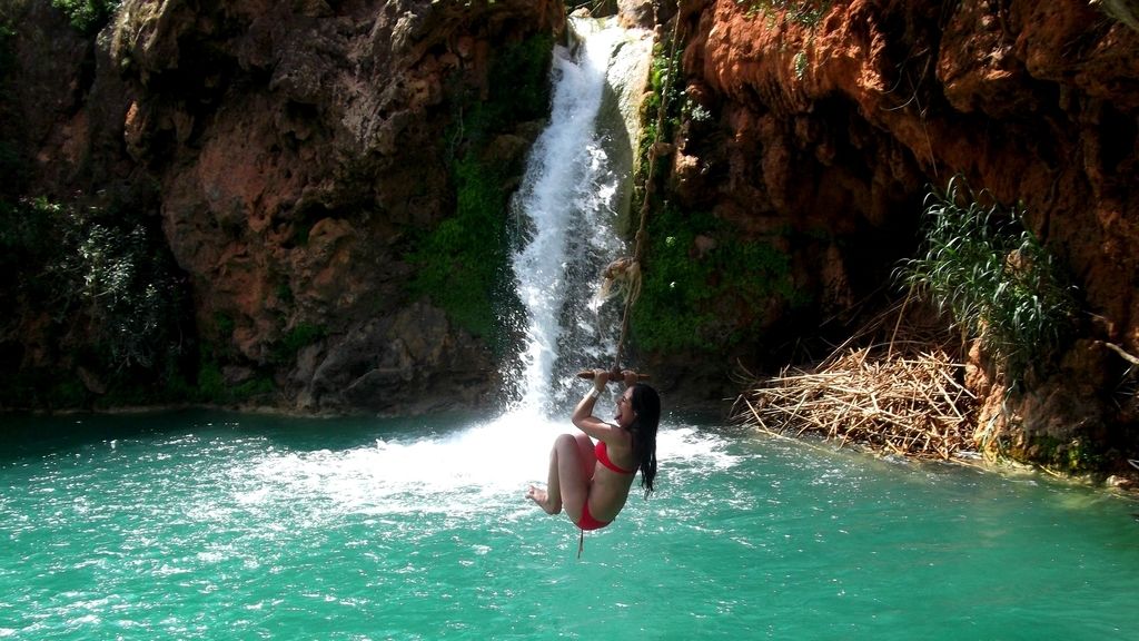 Concursantes Efecto ¡GUAU!... en vacaciones