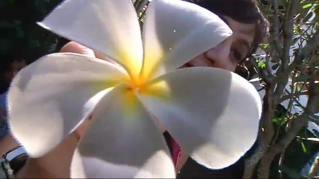 Las mejores fotos de Tahití y Bora Bora