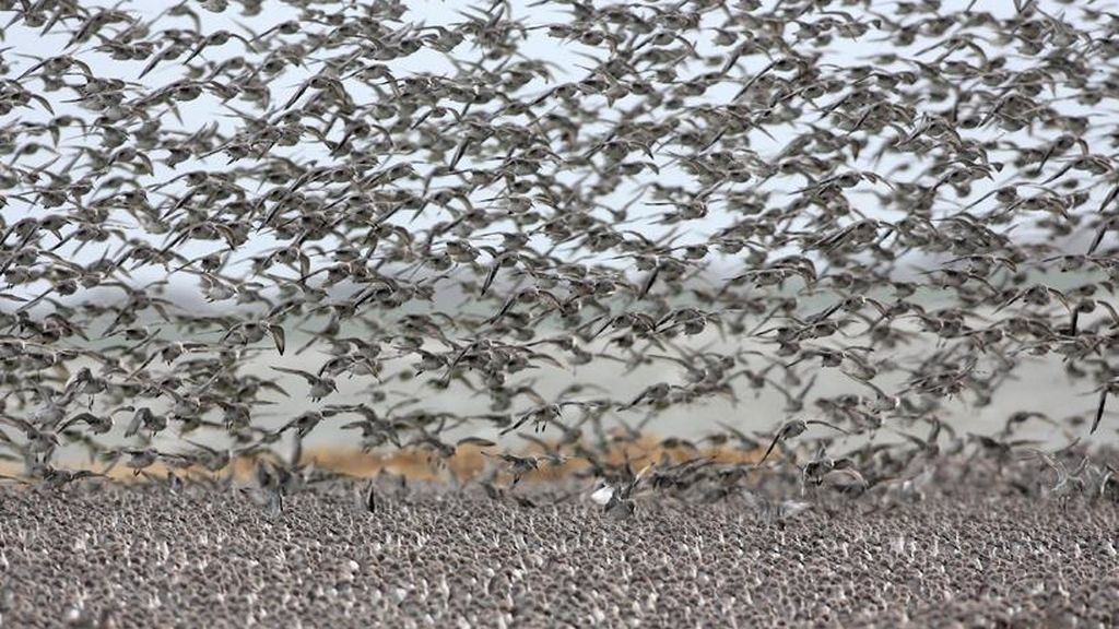 La naturaleza a concurso