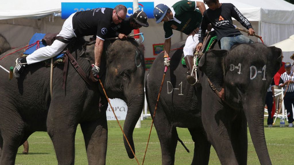 Varios jugadores de polo en Tailandia