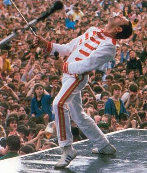 Freddie Mercury, tributo a la 'reina' tras de ausencia