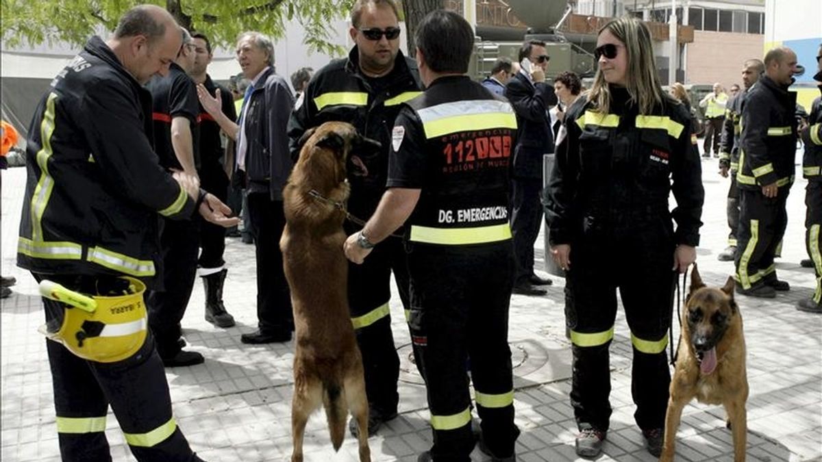 Miembros de un equipo de rescate con sus perros en el tercer día de trabajos tras el terremoto ocurrido el pasado miércoles en Lorca (Murcia). EFE