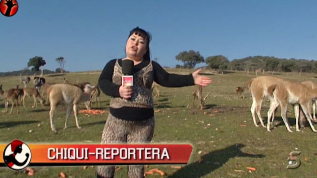 La reportera bautiza como 'Sálvame' y 'Deluxe' a dos llamas