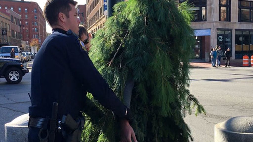 Arrestan a un hombre árbol por obstruir el tráfico en Portland