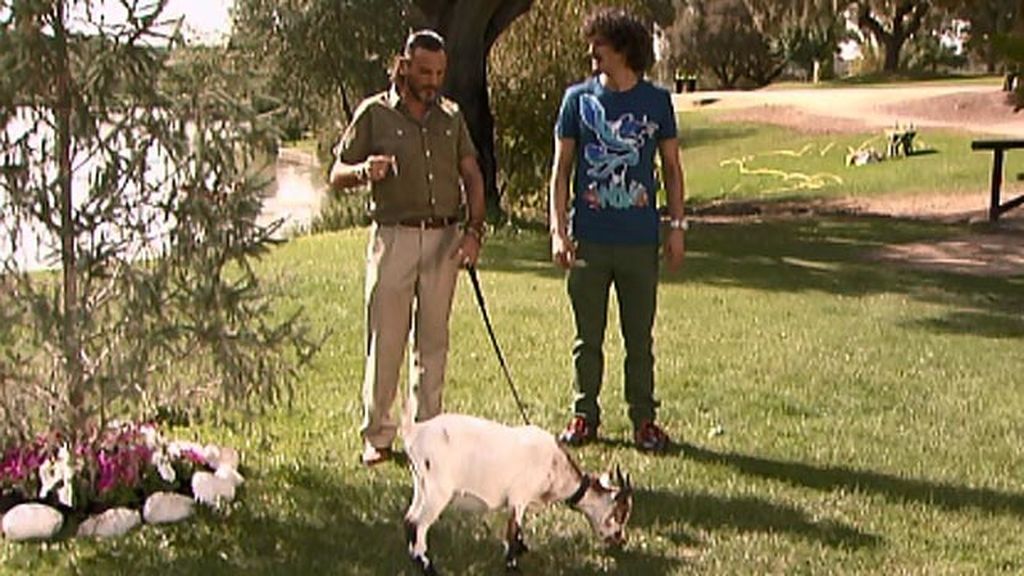 Araceli vuelve después de su aventura con el brasileño