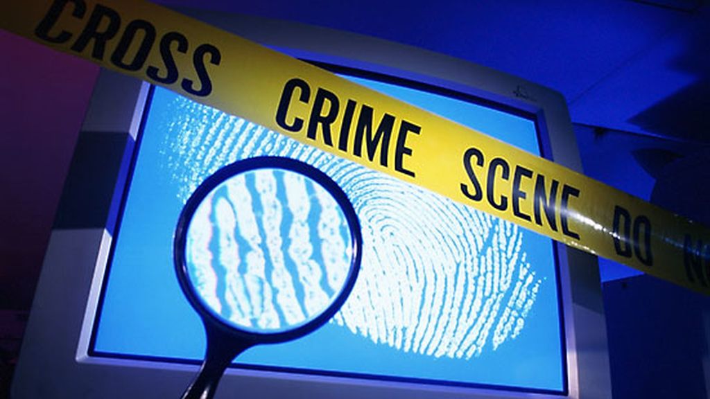 El hacker alquilaba el acceso a equipos comprometidos a otros ciberdelincuentes que querían enviar spam, propagar malware y robar datos bancarios.