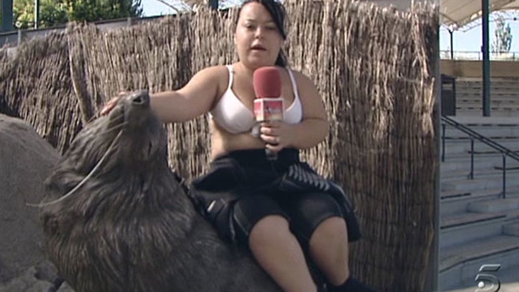 Chiqui encantadora de serpientes y osos marinos
