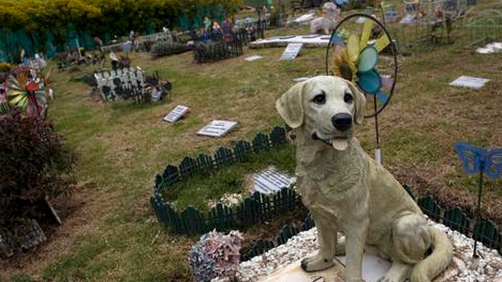 Los cementerios de perros, negocio prometedor en Colombia