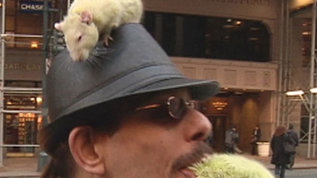 Hombre con ratas