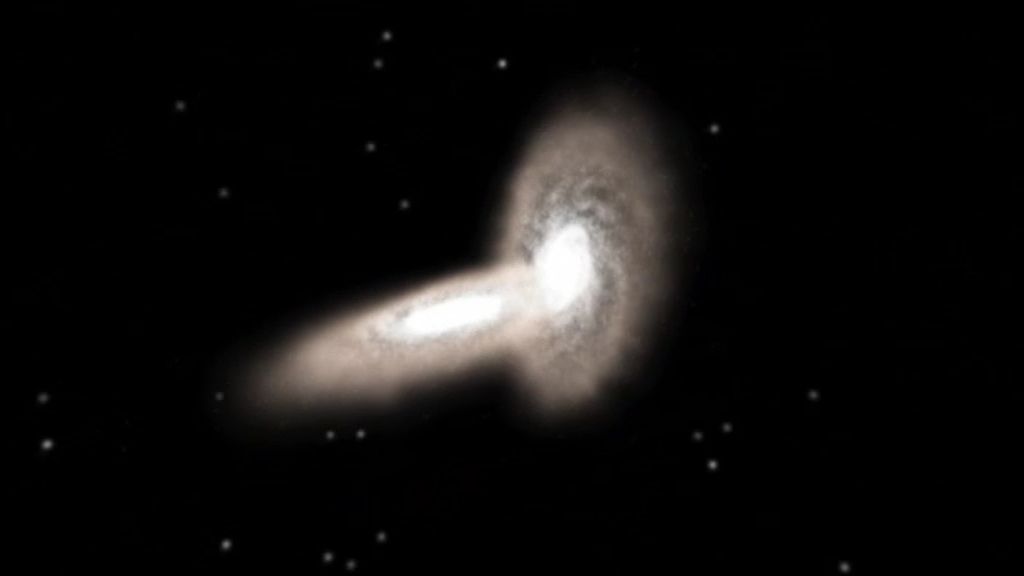 El cerebro en el Universo