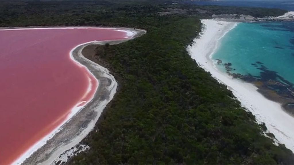 Mundo insólito: un hombre valle, un lago rosa, un perro con dos hocicos…